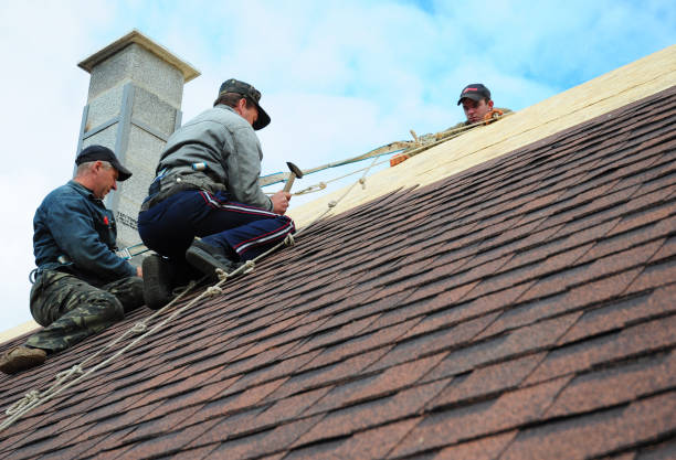 Best Local Roofing Companies  in Burlington, OH